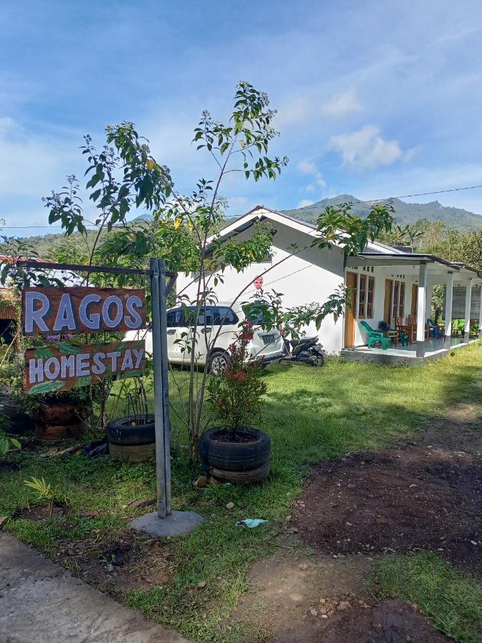 Rago'S Homestay Kelimutu Exterior foto